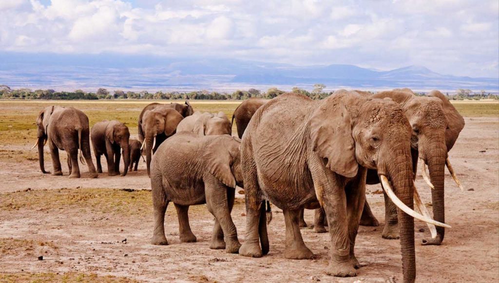Tarangire National Park