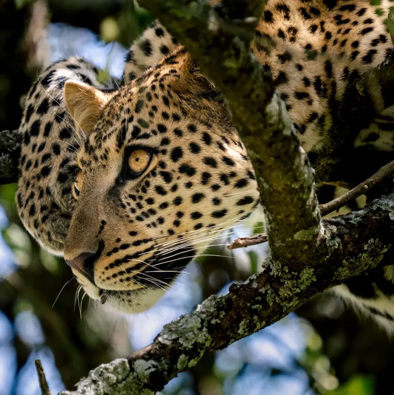 Tanzania Destinations