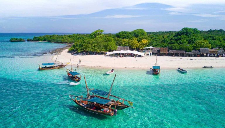Zanzibar to Mikumi – 1-Day Safari Itinerary
